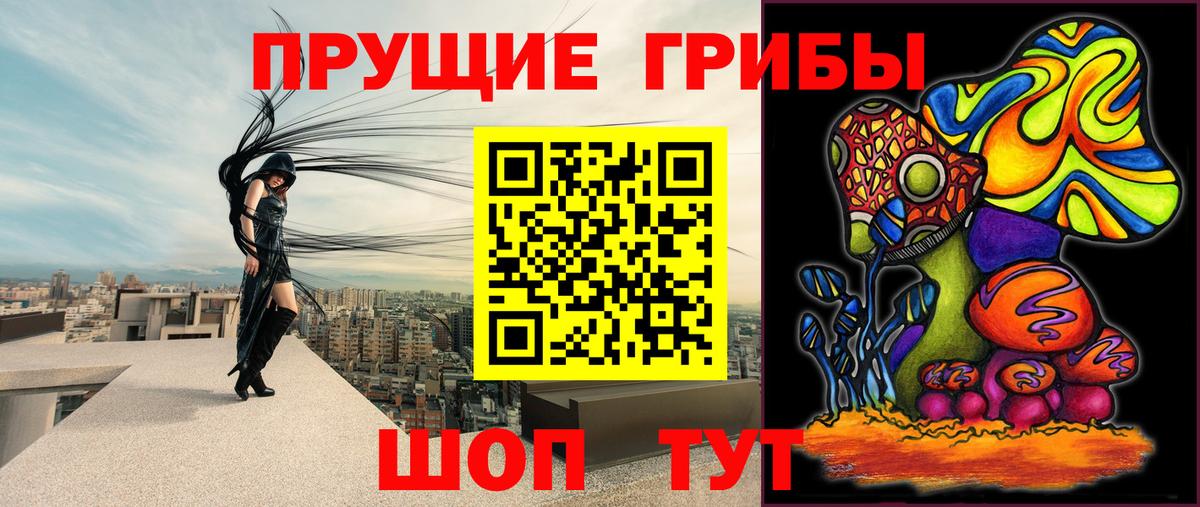 дарнет шоп  Галлюциногенные грибы мицелий  Вход с VPN  Дзержинский 