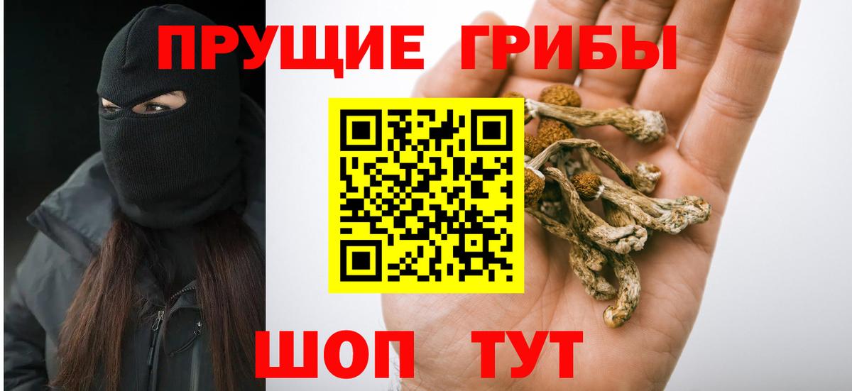 Псилоцибиновые грибы прущие грибы Дзержинский